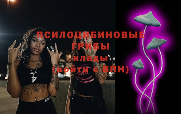 а пвп мука Осинники