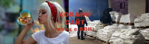 дживик Осташков