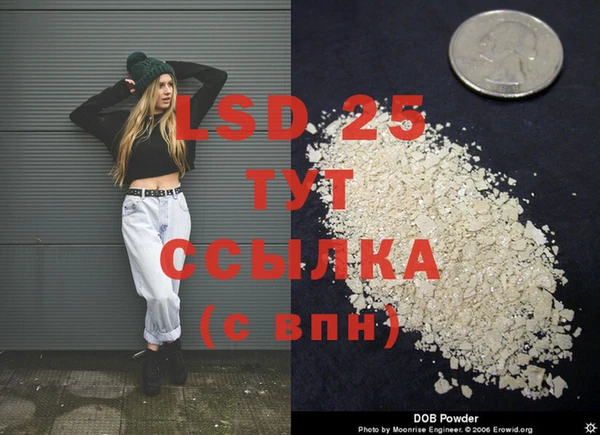 шишки Видное
