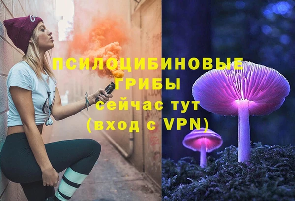 меф Пересвет