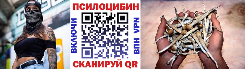 цена   kraken вход  Галлюциногенные грибы GOLDEN TEACHER  Салаир 